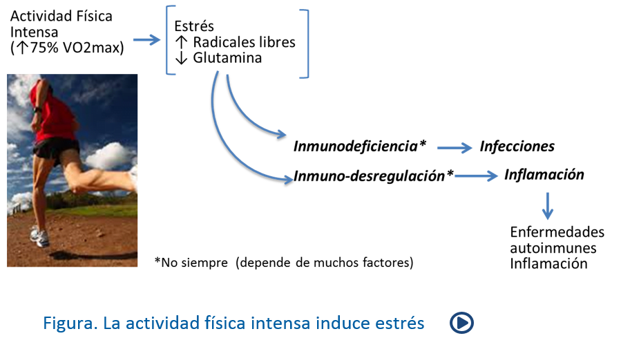 actividades y habitos que agravan enfermedades autoinmunes