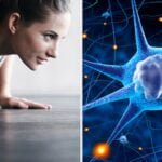 adaptacion hormonal que es y su impacto en nuestro cuerpo