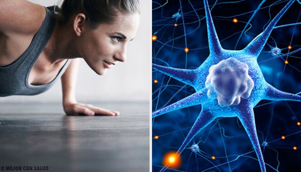 Adaptación hormonal: qué es y su impacto en nuestro cuerpo 1 adaptacion hormonal que es y su impacto en nuestro cuerpo