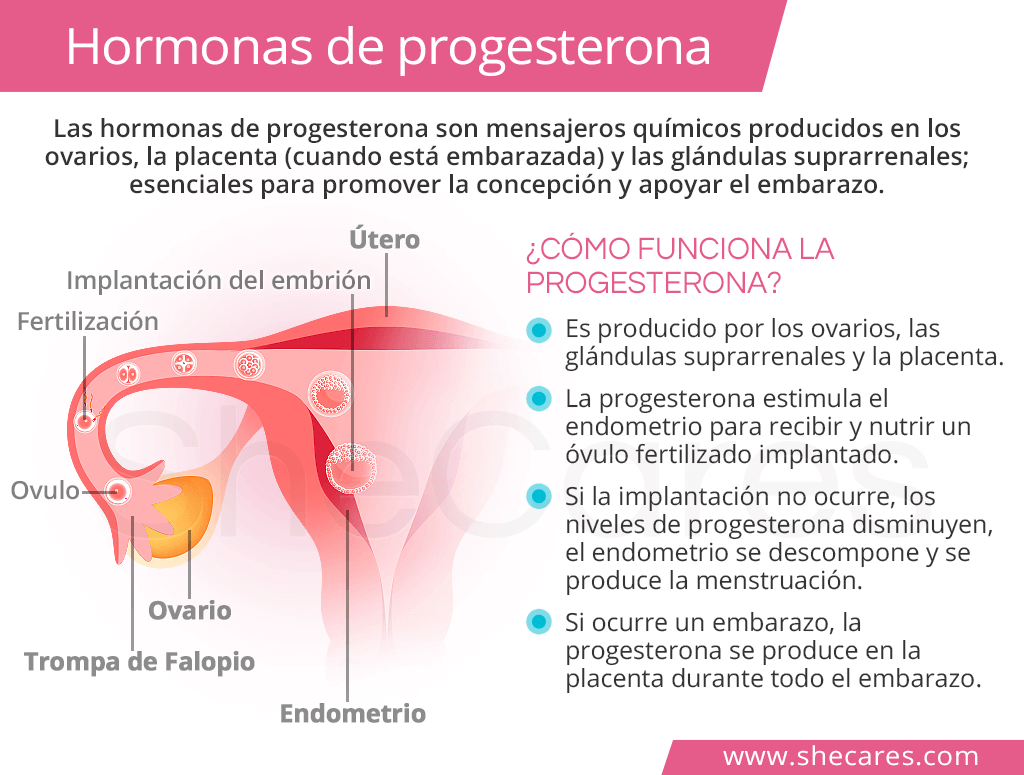 altos niveles de progesterona sin embarazo es posible