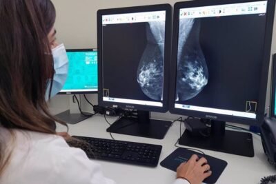 androgenos su papel en el desarrollo y tratamiento del cancer