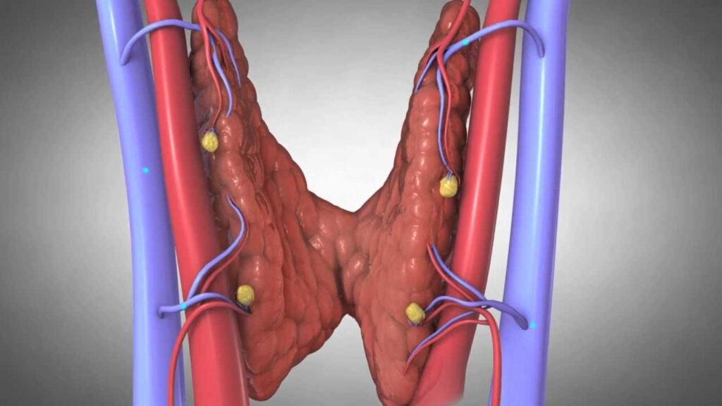 apoplejia tiroidea sintomas causas y detalles importantes
