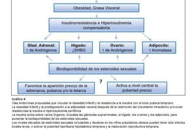 aromatizacion impacto en androgenos y su definicion