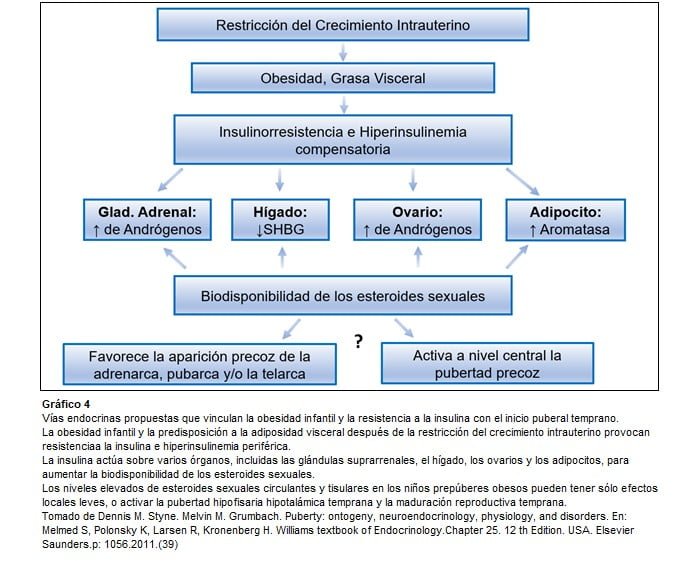 Aromatización: impacto en andrógenos y su definición 1 aromatizacion impacto en androgenos y su definicion