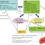 aspectos de la neurobiologia relacionados con la hipoactividad