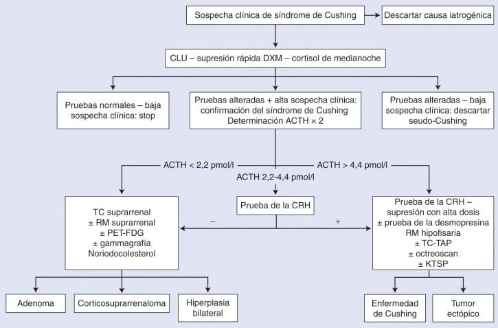 avances en diagnostico y tratamiento del sindrome de cushing