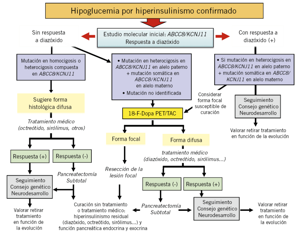 avances y hallazgos recientes sobre la hipoglucemia