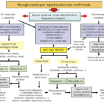 avances y hallazgos recientes sobre la hipoglucemia