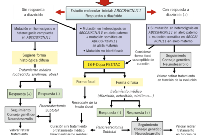 avances y hallazgos recientes sobre la hipoglucemia