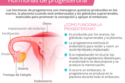 bajos niveles de progesterona efectos y consecuencias