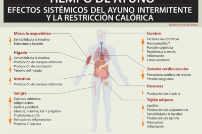 beneficios sorprendentes del ayuno para tu metabolismo