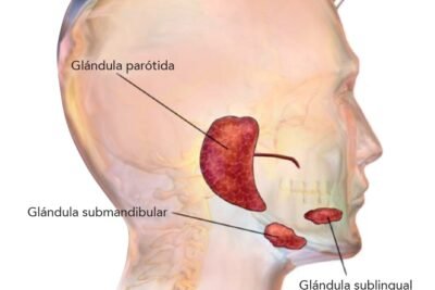 biopsia de glandula que es su proposito y todo lo necesario