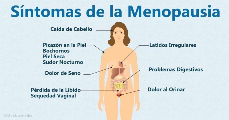 cambios comunes en el cuerpo durante la menopausia