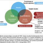 causas comunes de la hiperactividad origenes y efectos