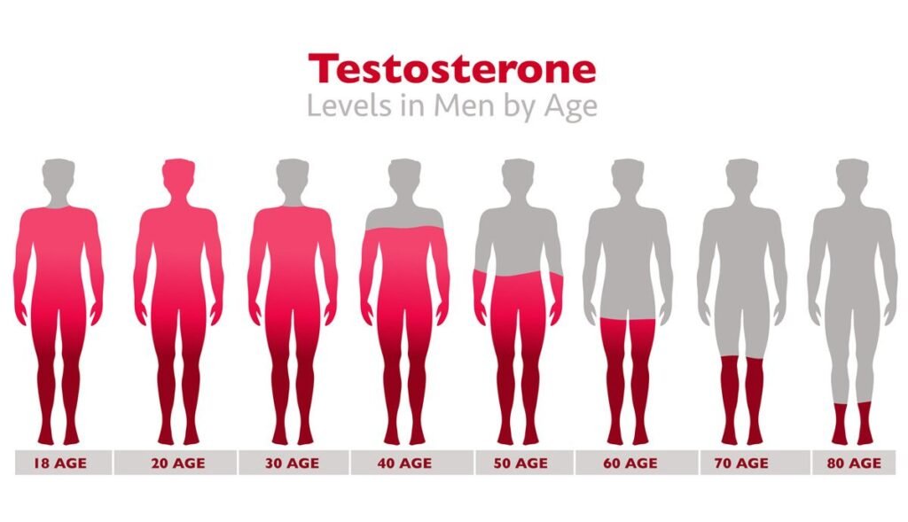 causas comunes de los bajos niveles de testosterona en hombres y mujeres