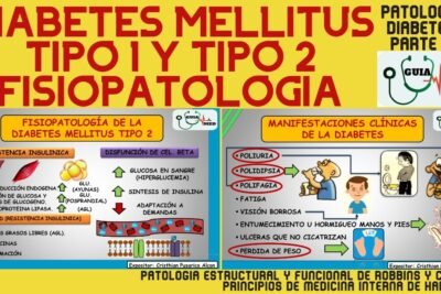 causas y mecanismos de la diabetes tipo 1 explicados