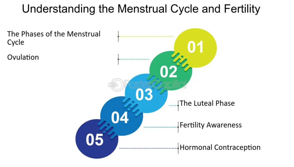 ciclo de fertilidad funcionamiento esencial y aspectos clave