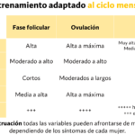 ciclo del estrogeno influencia y significado en la vida diaria