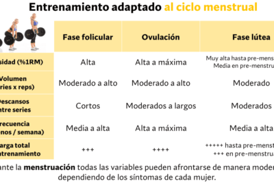 ciclo del estrogeno influencia y significado en la vida diaria