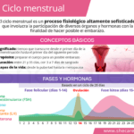 Ciclo hormonal femenino: fluctuaciones mensuales y su significado