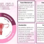 Ciclo menstrual: función hormonal y su importancia en la salud