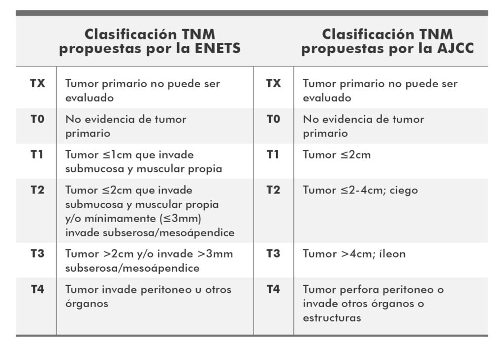 clasificacion de la oms para tumores neuroendocrinos que es