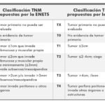 clasificacion de la oms para tumores neuroendocrinos que es