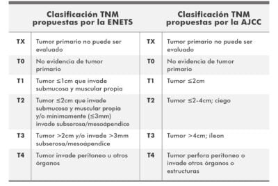 clasificacion de la oms para tumores neuroendocrinos que es