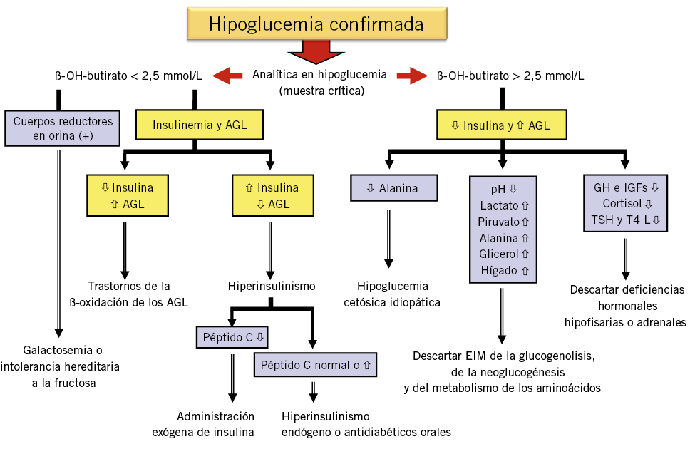 clasificacion y caracteristicas esenciales de la hipoglucemia