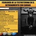 como afecta el ejercicio a los niveles de testosterona