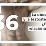 como afecta la obesidad a los niveles de androgenos