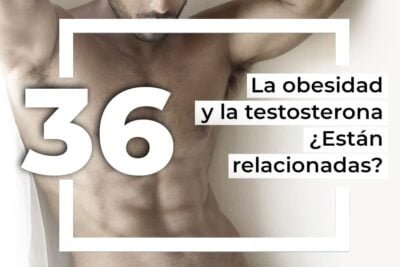 como afecta la obesidad a los niveles de androgenos