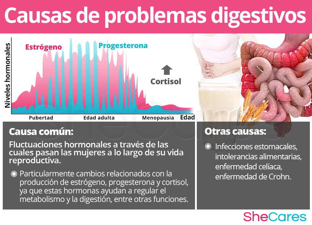 como afectan las hormonas a la salud digestiva