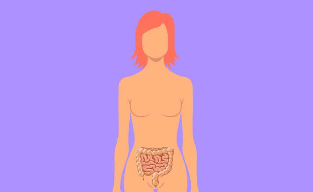 como afectan las hormonas a la salud intestinal