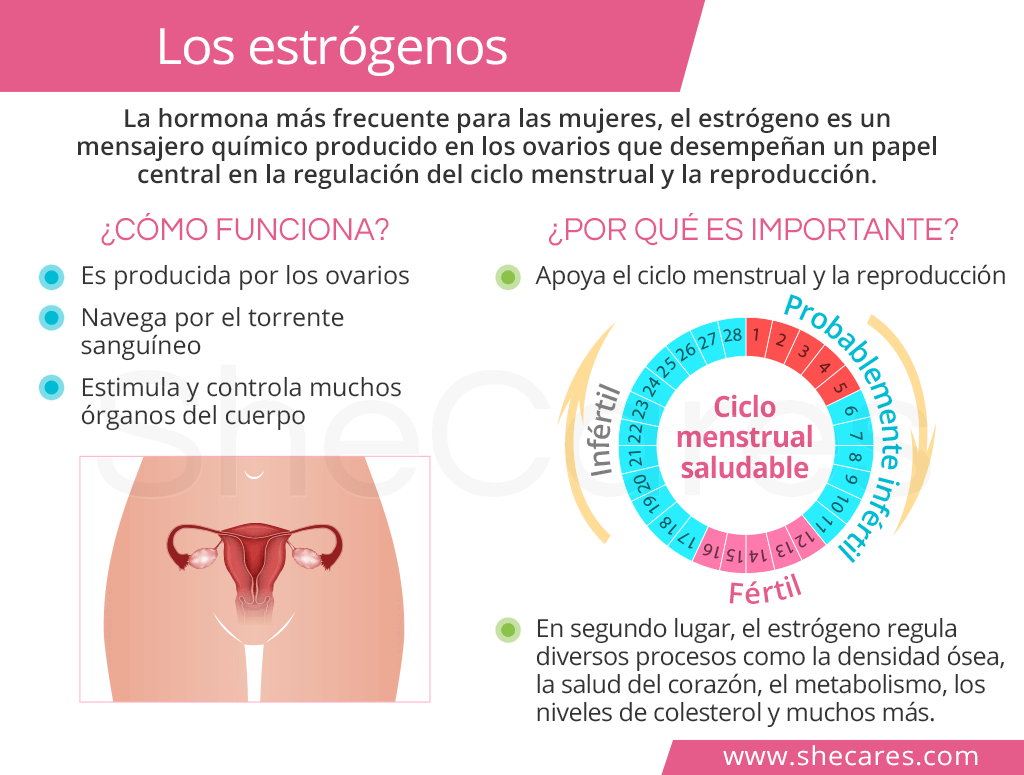 Cómo afectan las hormonas bioidénticas a los estrógenos 1 como afectan las hormonas bioidenticas a los estrogenos
