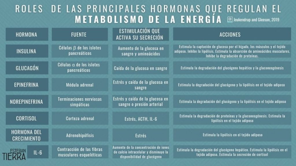 como afectan las hormonas peptidicas a la salud arterial