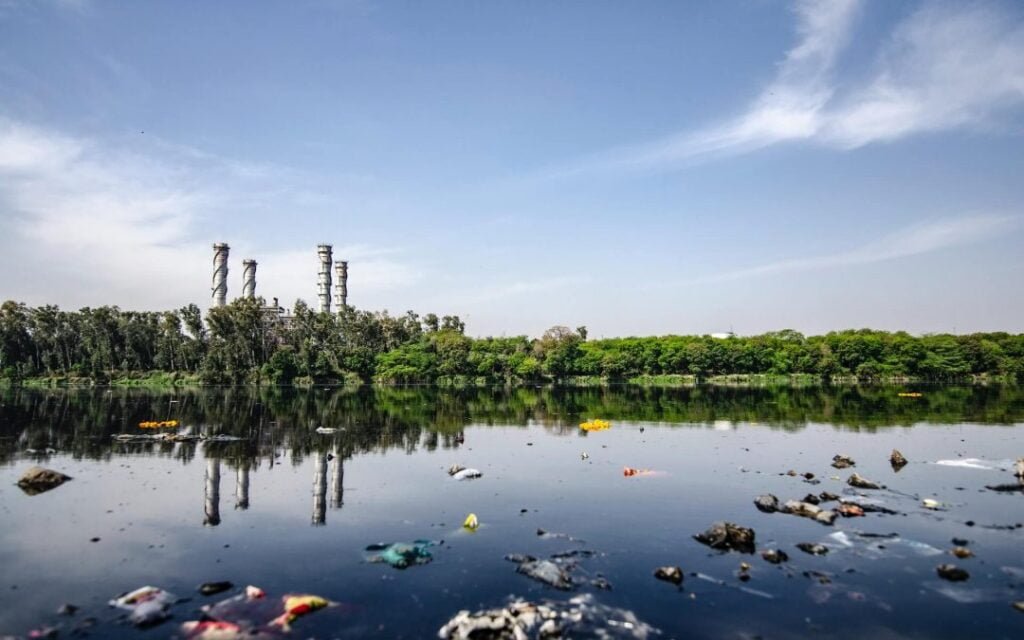 como afectan las toxinas ambientales a las glandulas