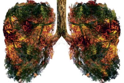 como afectan los cambios climaticos a las hormonas