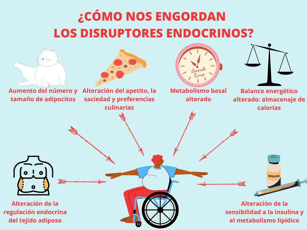 como afectan los disruptores endocrinos a la salud