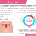 como afectan los estrogenos a la fertilidad femenina