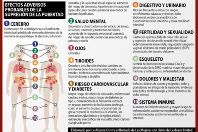 como afectan los medicamentos a la funcion hormonal