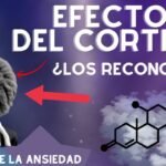 como afectan los niveles de cortisol a la longevidad