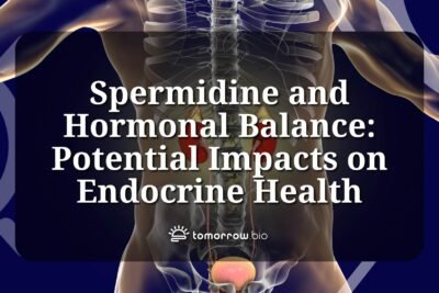 como contribuye el equilibrio hormonal a la longevidad