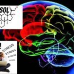 como el cortisol impacta el funcionamiento cerebral