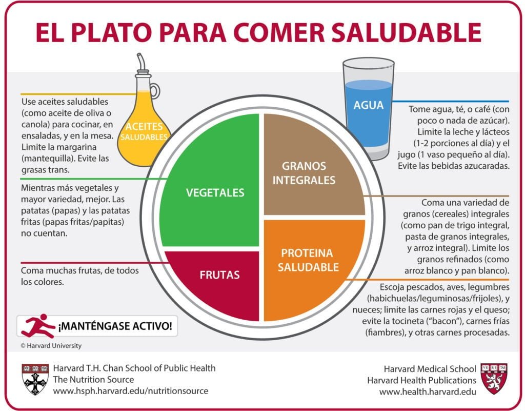 Cómo establecer un plan de alimentación equilibrado 1 como establecer un plan de alimentacion equilibrado