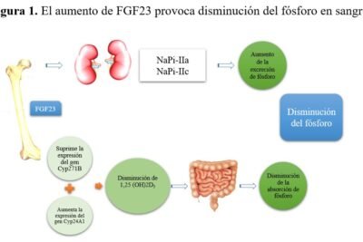 como evolucionan las terapias con hormonas peptidicas