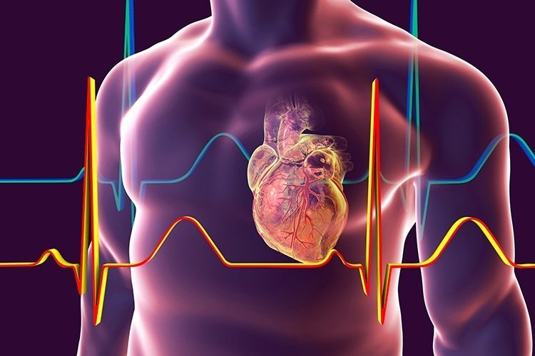 Cómo influye la diabetes en la salud cardiovascular 1 como influye la diabetes en la salud cardiovascular