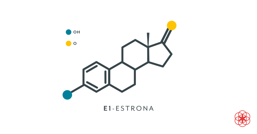 como influye la genetica en la produccion de estrogenos