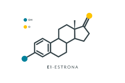 como influye la genetica en la produccion de estrogenos