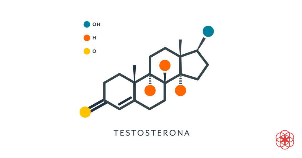 como influye la genetica en los niveles de androgenos